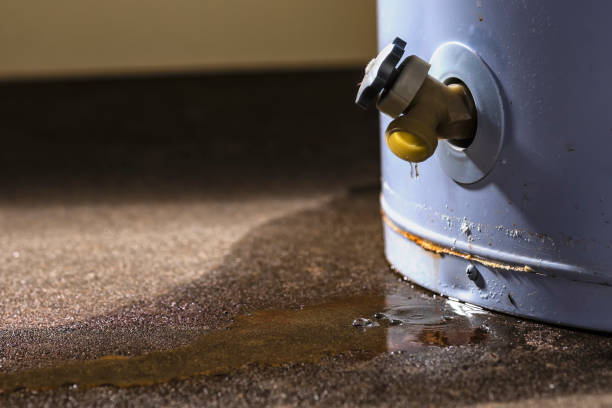 Best Commercial water damage restoration  in Medina, WA