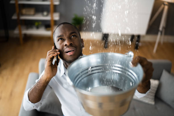 Best Flooded house restoration  in Medina, WA