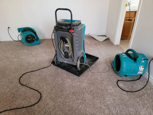 Best Ceiling water damage repair  in Medina, WA