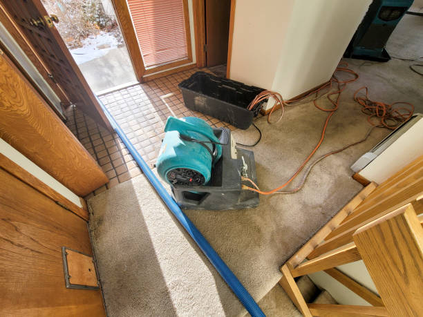 Best Water damage contractors near me  in Medina, WA