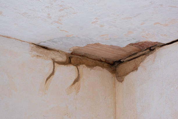 Best Ceiling water damage repair  in Medina, WA