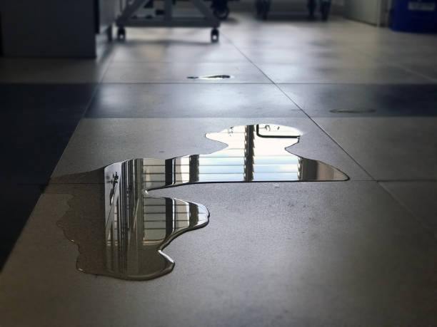 Best Water damage restoration near me  in Medina, WA