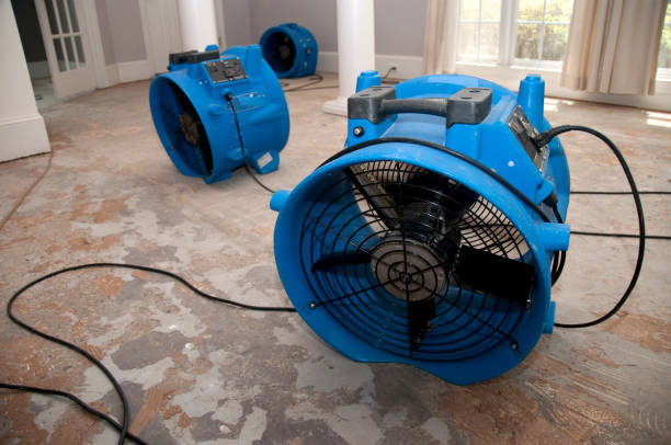 , WA Water damage restoration Company