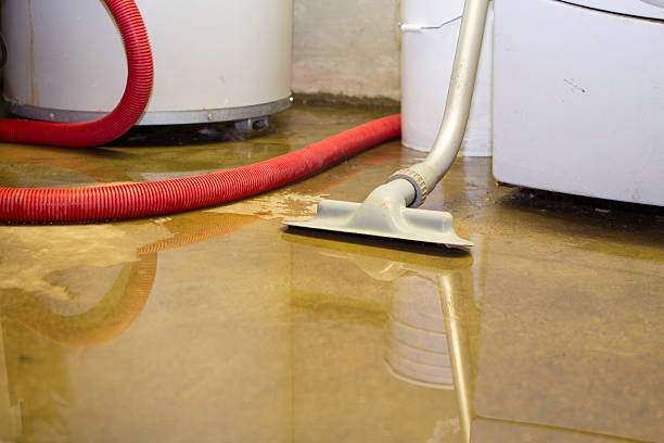 Best Residential water damage restoration  in Medina, WA