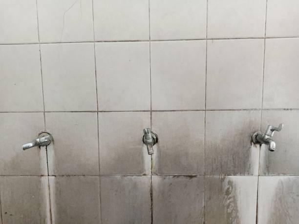 Best Water damage restoration near me  in Medina, WA