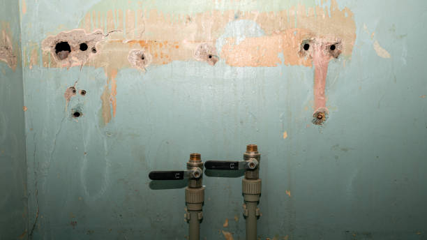 Best Water damage restoration insurance claims  in Medina, WA