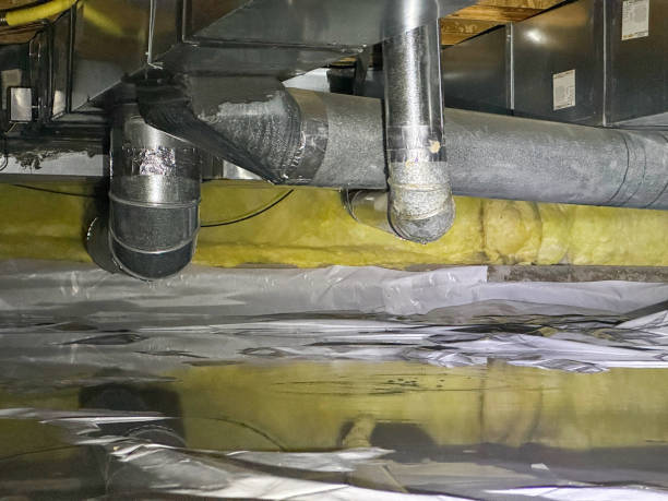 Best Mold removal after water damage  in Medina, WA