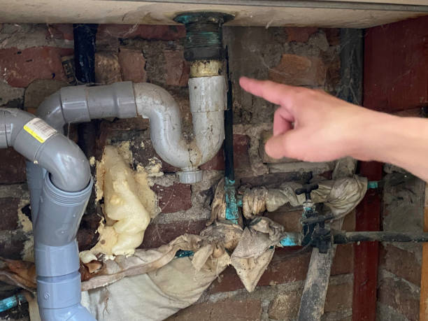Best Water damage restoration company  in Medina, WA